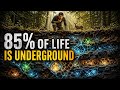 Beneath Our Feet: The Hidden Biosphere That Could Outnumber All Life on Earth