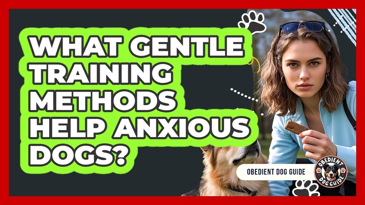 What Gentle Training Methods Help Anxious Dogs?