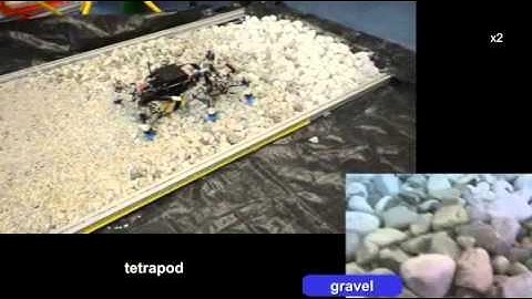 Hexapod robot AMOS II: Energy efficient gaits on different terrains