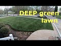 Get your lawn ready for guests | DEEP green in days