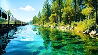 The Sound Of Water 🌸 Relaxing Therapeutic Music To Relieve Anxiety, Stress And Depression