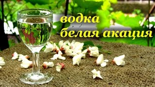 Домашняя ароматная водка - белая акация