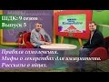 ШДК: Правила самолечения. Мифы о лекарствах для иммунитета. Рассказы о яйцах - Доктор Комаровский