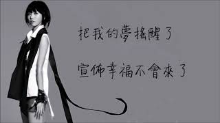 Video thumbnail of "Stefanie Sun 孫燕姿 - 開始懂了 Begun to Understand ( 歌词 & Pinyin & Translations )"