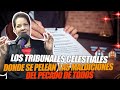 CARMEN SALAZAR - LOS TRIBUNALES CELESTIALES DONDE SE PELEAN CASOS DE MALDICIONES DEL PECADO DE TODOS