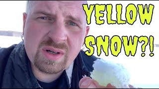 Yellow Snow?! | Mystery Solved!!!!!