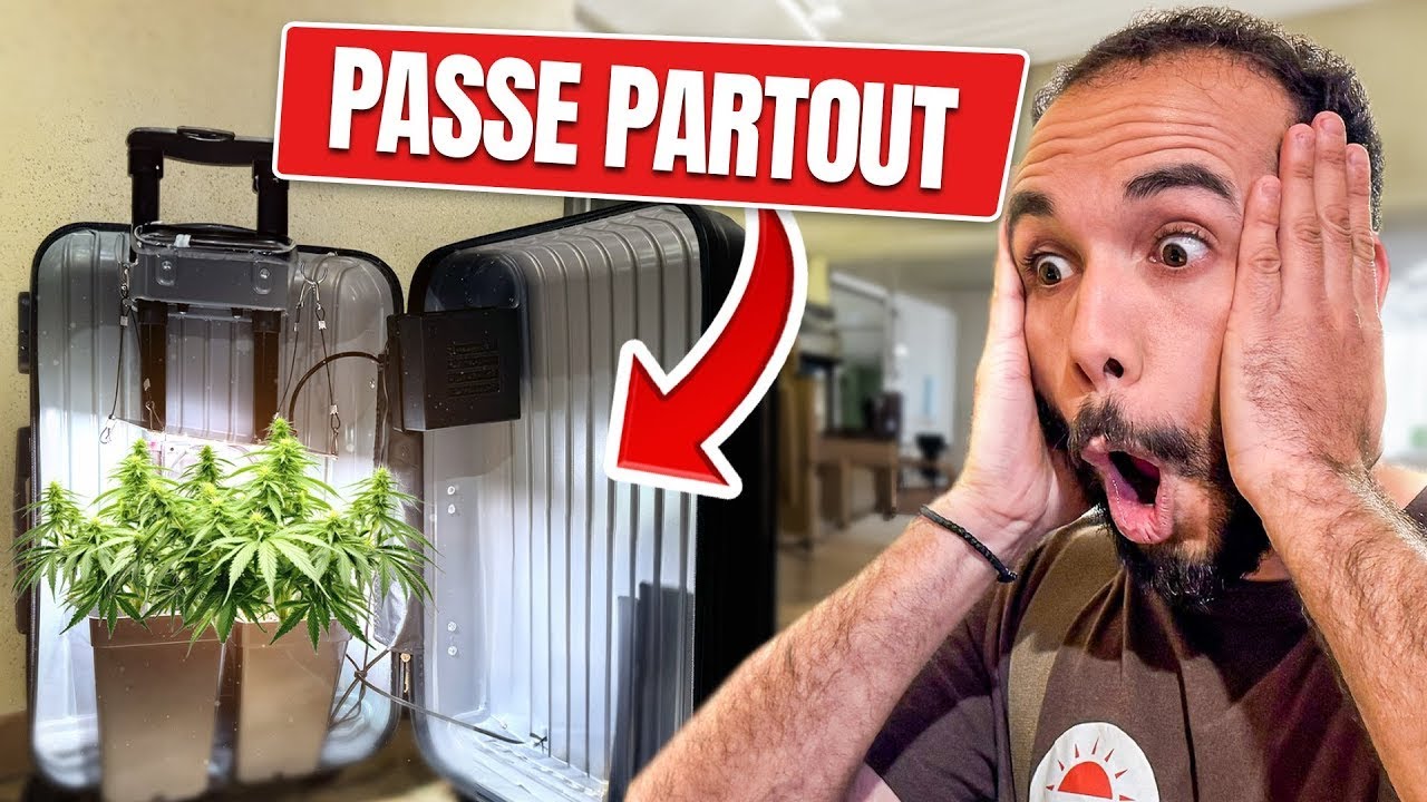 CULTIVER À LA MAISON AVEC LA MINI GROW BOX DE BONSANTO ! - YouTube