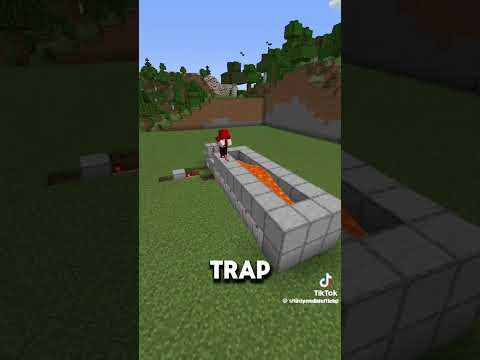 Farme bone Minecraft 