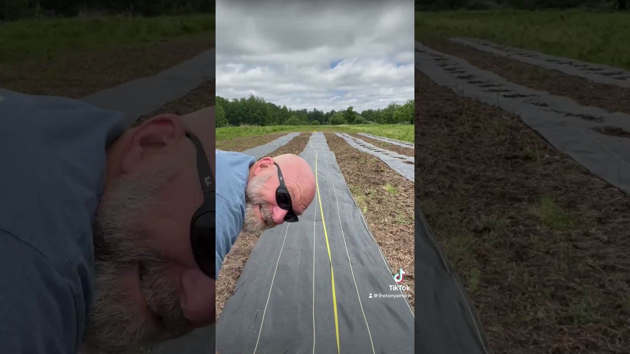 Prepping our Lavender Fields