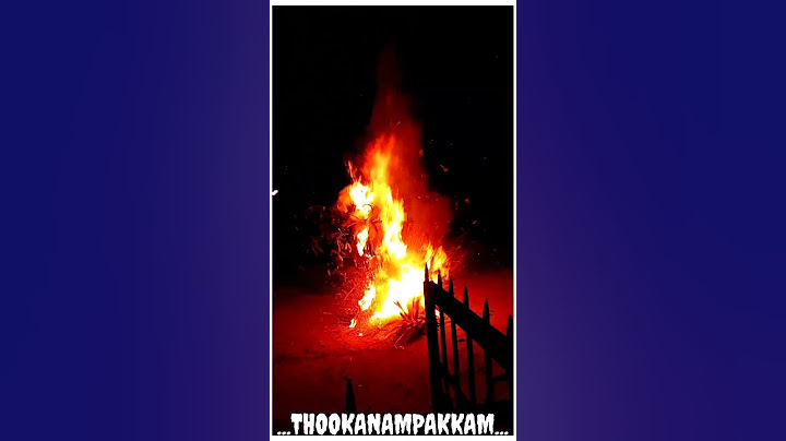 karthigai deepam sokka panai village festival#life of nature