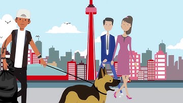 YSM (video 3) // Animation Explainers