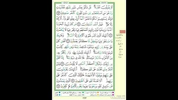 الصفحة ٢٢٣ من القرآن الكريم...القارئ د.بريك سعد بريك