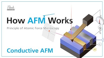 Conductive AFM | How AFM Works - Principle of Atomic Force Microscopy