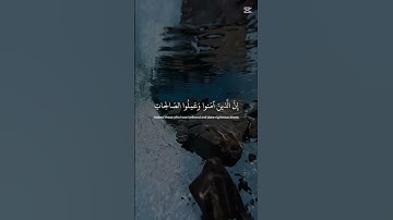 نور القرآن2. تلاوة تهز القلوب 💚3. كلام الله حياة 🌿تلاوة مؤثرة جداً 🌸القرآن_الكريم #تلاوة_خاشعة #