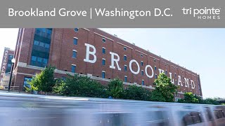 Brookland Grove Community Overview | New Townhomes in Washington, D.C.