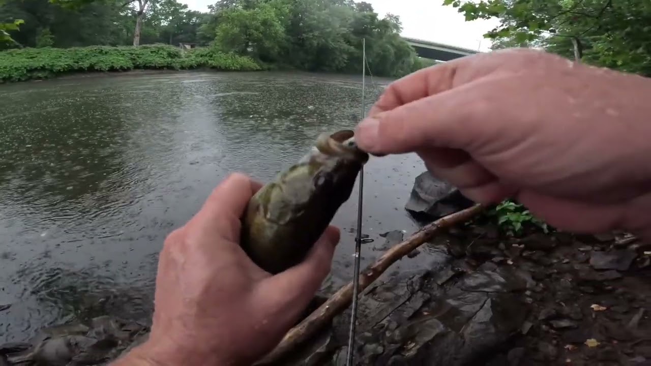Smallmouth Bass Post -Spawn Trying to locate the bigger fish/Slowing Down