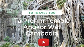 Ta Prohm Temple Complex Angkor Wat Cambodia