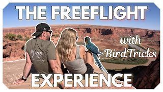 The Birdtricks Freeflight Experience Birdtricks Unfiltered