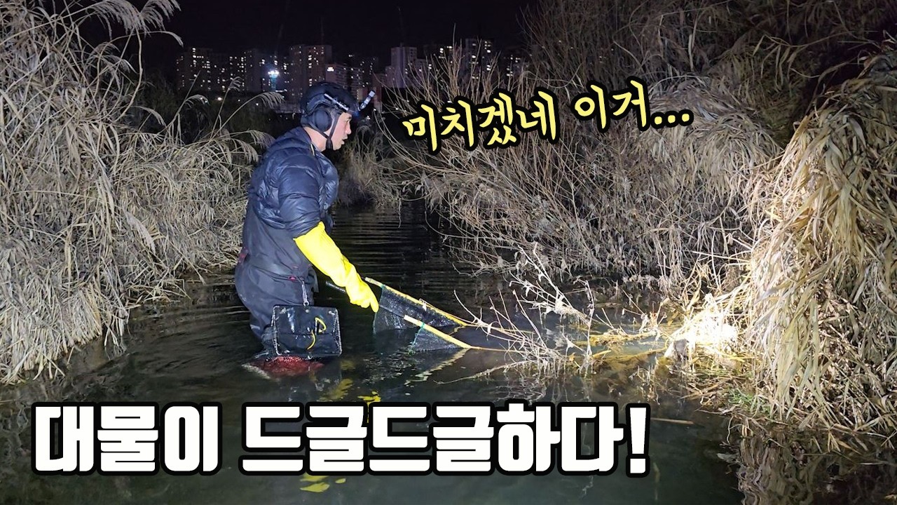 이 작은 하천에 대물들이 우글우글거리는데...이거 환장하겠네요 ㅠㅠ