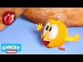 Where's Chicky? Funny Chicky 2020 |  THE TREASURE | Chicky Cartoon in English for Kids