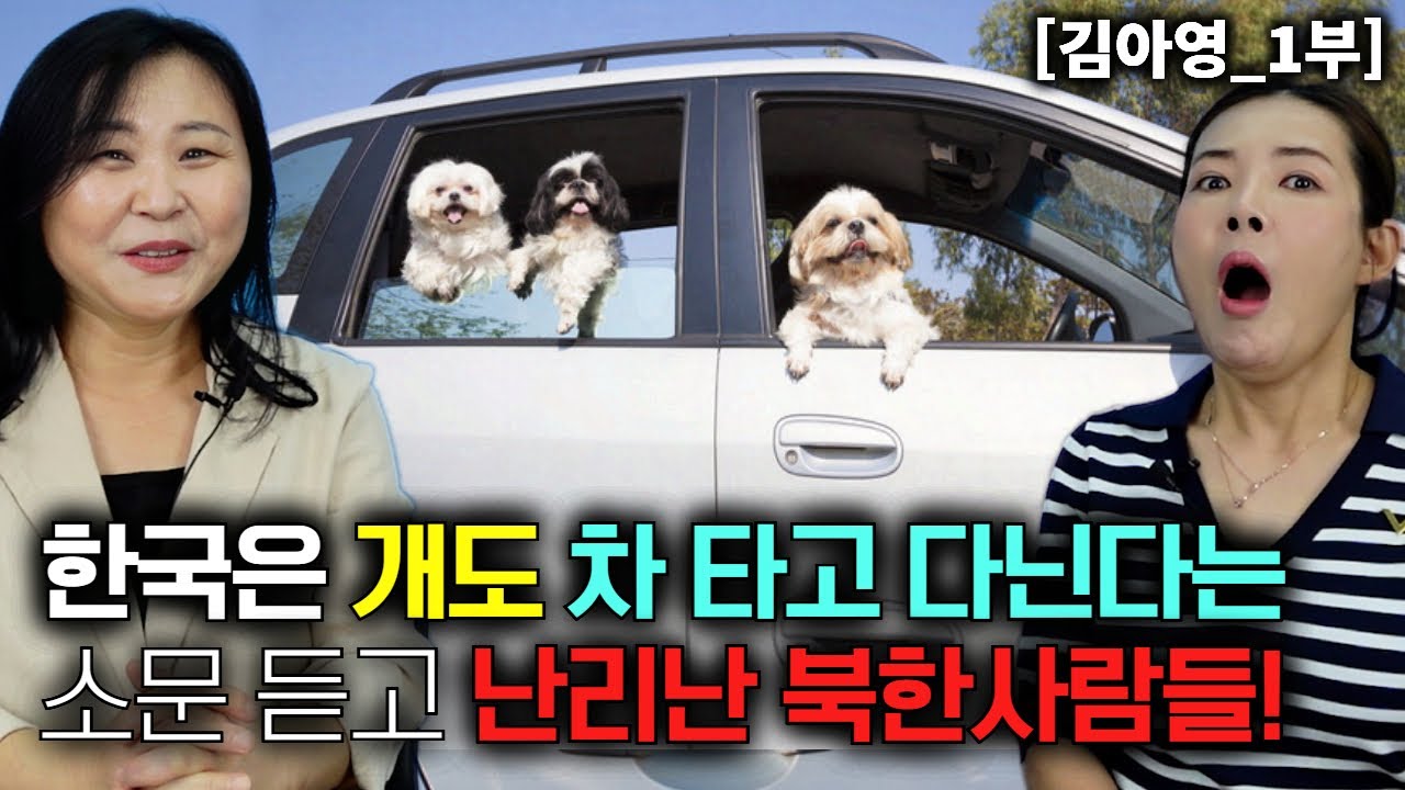 [김아영_1부] 한국은 강아지도 차 타고 다닌다는 소문 듣고 거짓말이라고 난리 난 북한사람들!
