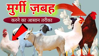 मुर्गी ज़बह करने का तरीक़ा,Murgi zabah karne ki niyat(Complete)kya aap jante hai,m