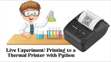🔴 Live Experiment: Printing to a 80 mm Label POS Thermal Printer with Python