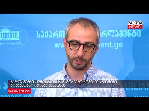 პარლამენტის დროებითი საგამოძიებო კომისიის წევრები არასამთავრობოებს შეხვდნენ