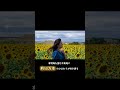 今週中に行くべき福岡県の50万本のひまわり畑🌻 #柳川市 #yanagawacity