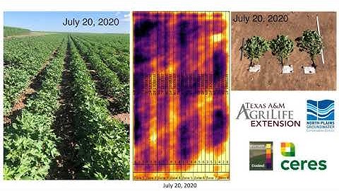Cotton & Conservation: NPWCC Season Overview