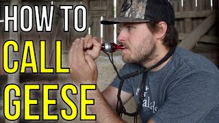 How To Call Geese
