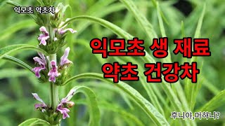익모초 생 재료 약초 건강차 만드는 방법. 익모초 약초차 만들어 보세요. 후니야,머하니?
