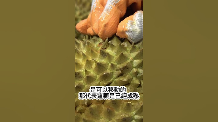 挑選榴槤不是裂開的就好 快速教你三種簡單方法