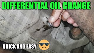Mercedes Rear Differential Oil Change