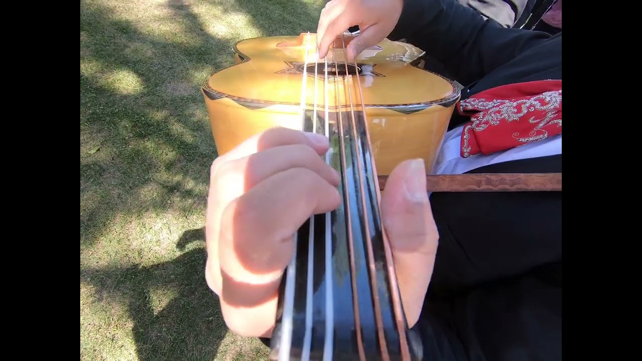 Mariachi Mi Ciudad - Las Golondrinas