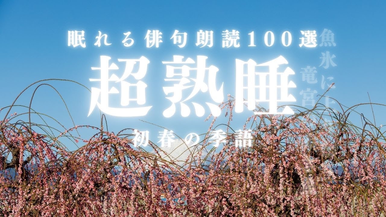 超熟睡・ぐっすり眠れ・脳疲労回復・ストレス軽減・自律神経が整う・リラックス効果