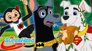 ไปกับเจ้าหมาน้อย | DC Super Hero Girls ไทย