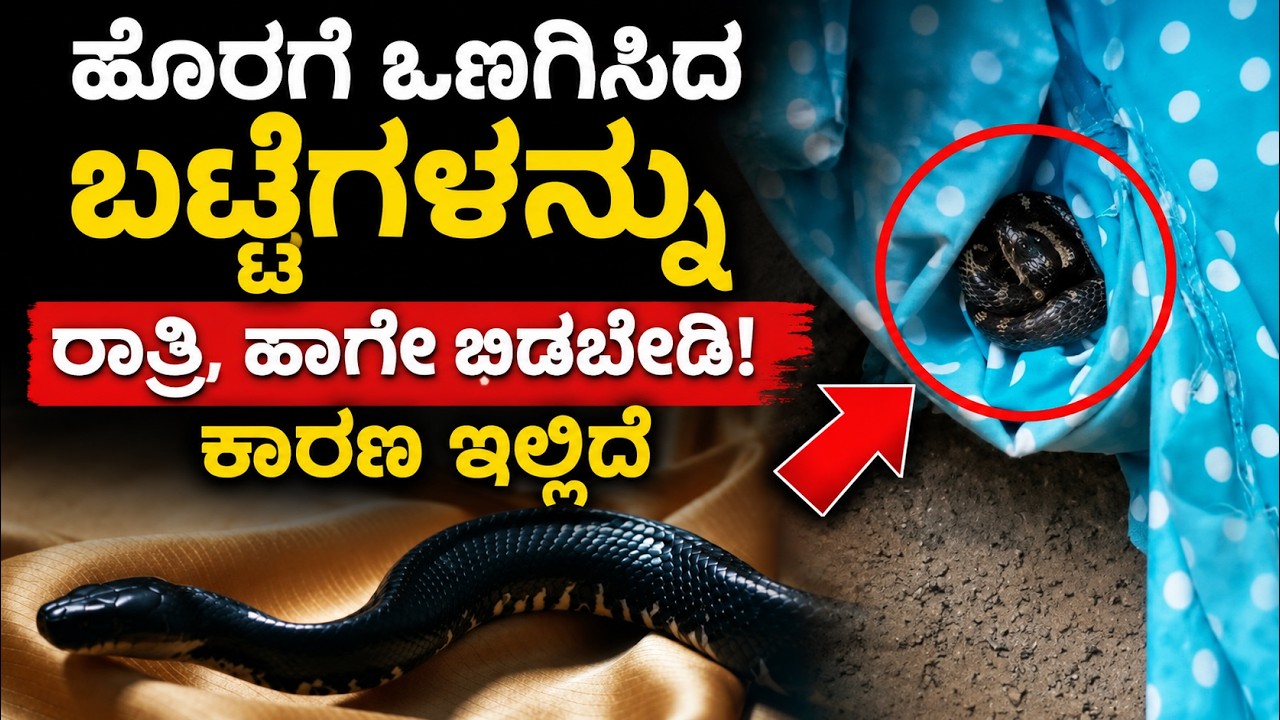 ಮಳೆಗಾಲದಲ್ಲಿ ಹೊರಗೆ ಒಣಗಿಸಿದ ಬಟ್ಟೆಗಳನ್ನು ಹಾಗೇ ಬಿಡ್ತೀರಾ? ಮೊದಲು ಈ ವಿಡಿಯೋ ನೋಡಿ!