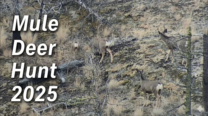 BC Mule Deer Hunt 2025