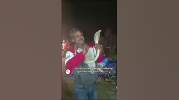 Dại dột hôn lên miệng rắn hổ mang, người đàn ông bị cắn t.ử v.o.n.g - Tin thế giới - VNEWS