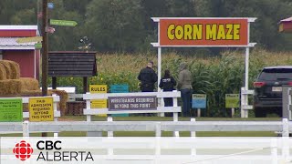 Man, 53, fatally stabbed at Edmonton Corn Maze