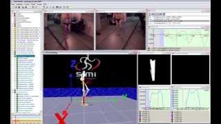 Gait Analysis with Force Plate in Simi Motion 3D
