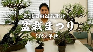 松古園】秋季 盆栽まつり＆ 第28回 日本盆栽逸品展 開催！【商品紹介