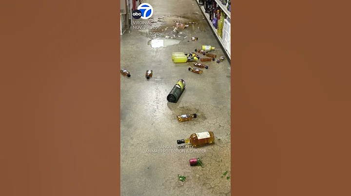 Drunk raccoon found passed out in liquor store bathroom