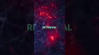 Memory Trafficking The Terrifying Digital Reality