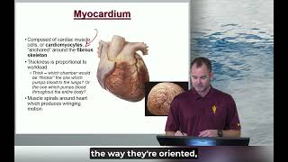 Celebrity 1 m9 Module 2 Lab Learning Materials Heart PL24 SI Profile