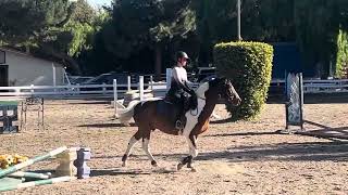 Theo - Flatwork 11/16/24