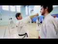 Matre lee kwan young 9me dan de taekwondo