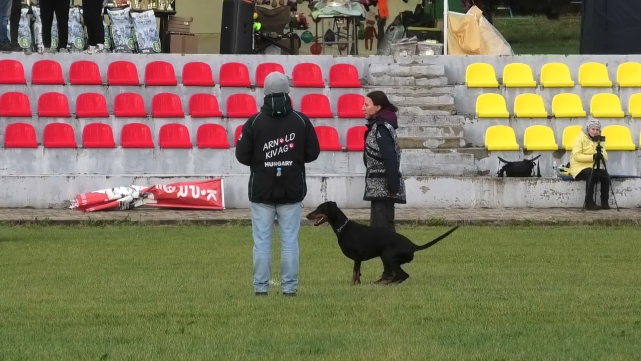 Агния Хосаева и Ijuty European K9 Training Base IGP-1 B-94
