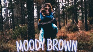 Moody Brown Preset Lightroom  Free Dng Download 